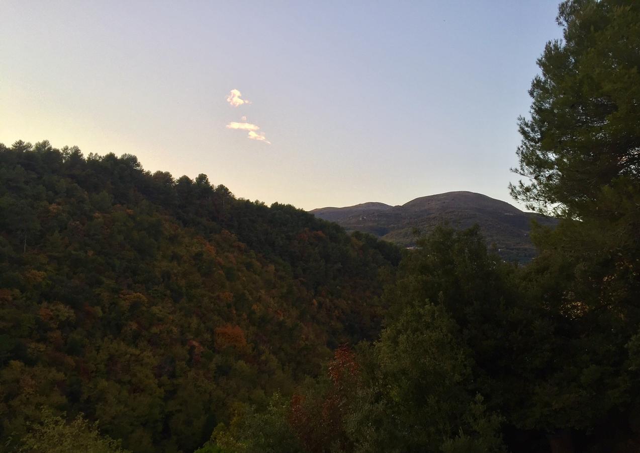 Villa Rocamar Vence Εξωτερικό φωτογραφία